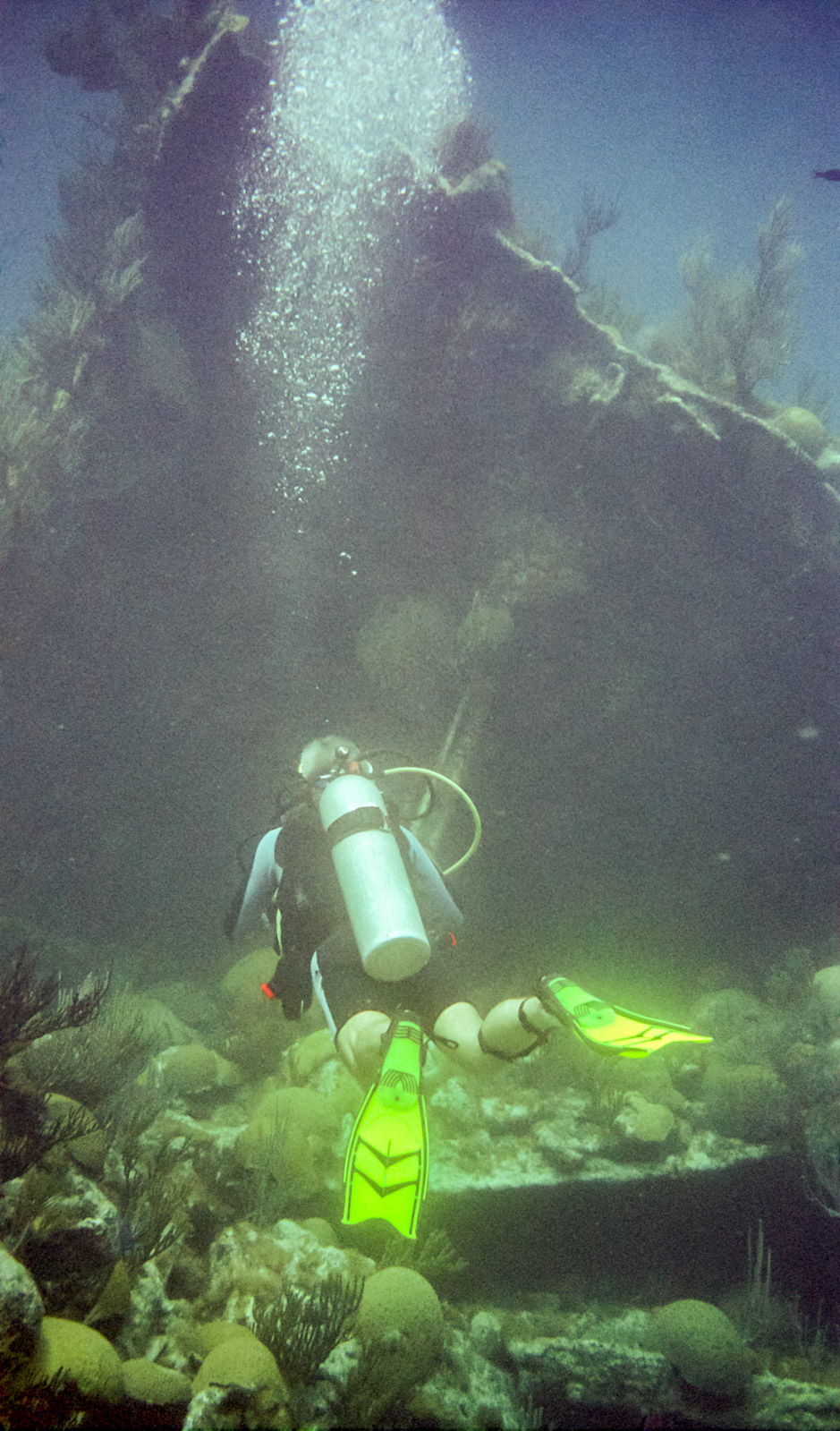 Bermuda scuba