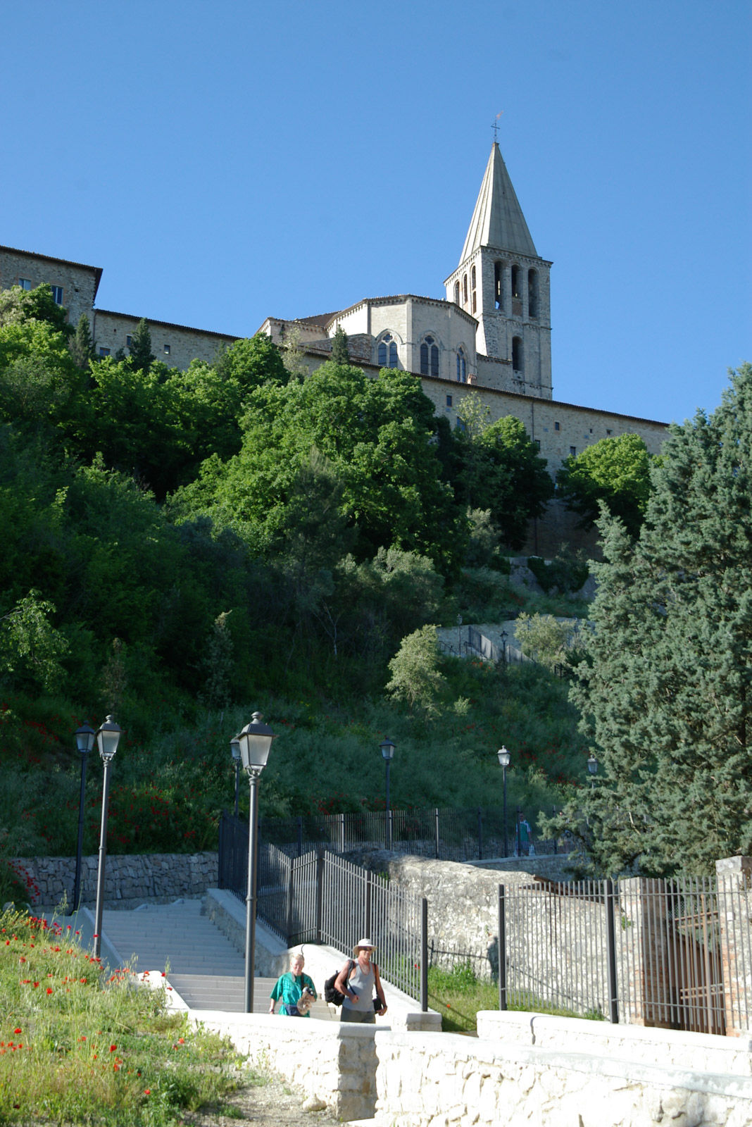 Todi